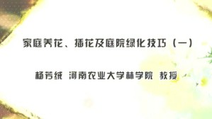 家庭养花 插花及庭院绿化技巧视频教程 杨芳绒 5讲 河南农业大学