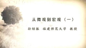 从微观到宏观视频教程 孙绍振 5讲 福建师范大学