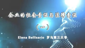 企业的社会责任与法律责任视频教程 Elena Bellisario 8讲 罗马第三大学