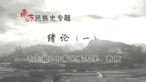 南方民族史专题视频教程 韦东超 20讲 中南民族大学