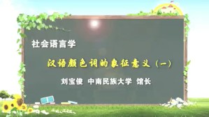 社会语言学视频教程 刘宝俊 30讲 中南民族大学