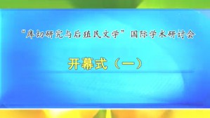 “库切研究与后殖民文学”国际学术研讨会视频教程 蔡圣勤 36讲 中南财经政法大学