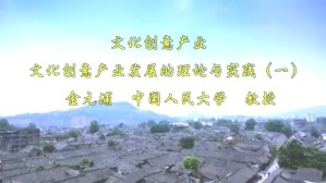 文化创意产业视频教程 金元浦 32讲 中国人民大学