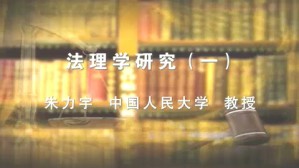 法理学研究视频教程 朱力宇 21讲 中国人民大学