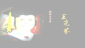 从中华舞蹈史探索民族舞蹈审美意识的传承与变异视频教程 王克芬 15讲 中国艺术研究院
