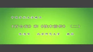 中国当代文学精品视频教程 31讲 北京师范大学