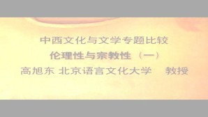 中西文化与文学专题比较视频教程 高旭东 39讲 北京语言大学