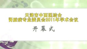 天津市中西医结合肾脏病专业委员会2011年学术会议视频教程 杨洪涛 16讲 天津中医药大学第一附属医院