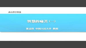 西方哲学智慧视频教程 张志伟 韩东晖 64讲 中国人民大学
