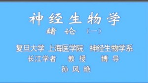神经生物学视频教程 孙风艳 33讲 复旦大学