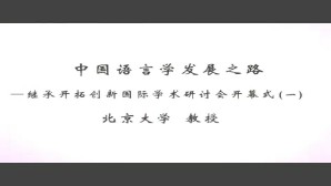中国语言学发展之路-继承开拓创新国际学术研讨会视频教程 125讲 清华大学
