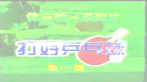 青少年乒乓球教学视频教程 17讲