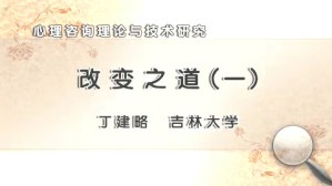心理咨询理论与技术研究视频教程 丁建略 45讲 北京大学
