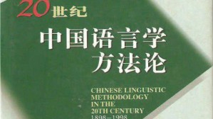 理论语言学视频教程 陈保亚 54讲 北京大学