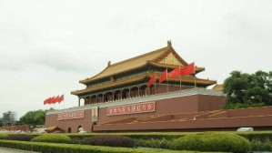 行政法与行政诉讼法视频教程 马怀德 72讲 中国政法大学
