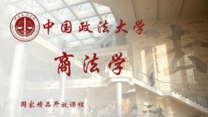 商法学视频教程 赵旭东 126讲 中国政法大学