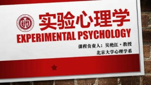 实验心理学视频教程 吴艳红 64讲 北京大学
