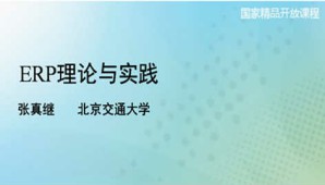 ERP理论与实践视频教程 张真继 32讲 北京交通大学
