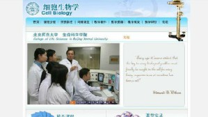 细胞生物学视频教程 桑建利 54讲 北京师范大学