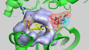 药物化学视频教程 徐萍 51讲 北京大学