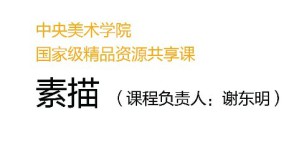 素描视频教程 谢东明 600讲 中央美术学院