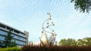 高分子化学视频教程 程珏 56讲 北京化工大学