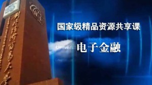电子金融视频教程 陈进 32讲 对外经济贸易大学