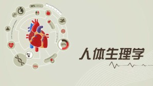 人体生理学视频教程 尹志英 90讲 国家开放大学
