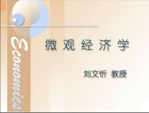 微观经济学视频教程 刘文忻 48讲 北京大学