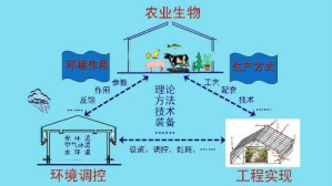 设施农业工程工艺视频教程 李保明 40讲 中国农业大学