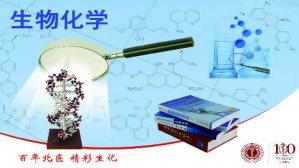 生物化学视频教程 贾弘禔,倪菊华 163讲 北京大学