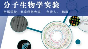 分子生物学实验视频教程 魏群 126讲 北京师范大学