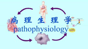 病理生理学视频教程 吴立玲 57讲 北京大学