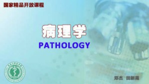 病理学视频教程 郑杰,田新霞 90讲 北京大学