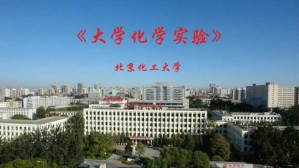 大学化学实验视频教程 张丽丹 80讲 北京化工大学