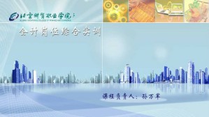 会计岗位综合实训视频教程 孙万军 60讲 北京财贸职业学院