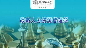 战略人力资源管理视频教程 王建民 60讲 北京师范大学