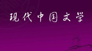 现代中国文学视频教程 罗振亚 120讲 南开大学
