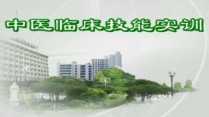 中医临床技能实训视频教程 周桂桐 90讲 天津中医药大学