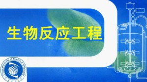 生物反应工程视频教程 贾士儒 69讲 天津科技大学