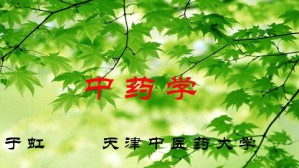 中药学视频教程 于虹 90讲 天津中医药大学