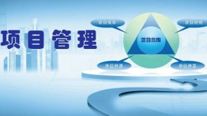 项目管理视频教程 戚安邦 40讲 南开大学