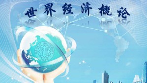 世界经济概论视频教程 周申 54讲 南开大学