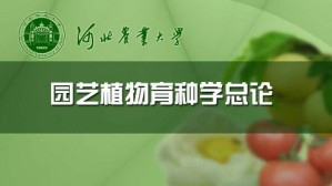 园艺植物育种学视频教程 申书兴 48讲 河北农业大学