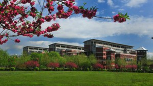 中国古代文学视频教程 田玉琪 221讲 河北大学