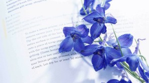 英美诗歌欣赏视频教程 李正栓 48讲 河北师范大学