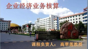 企业经济业务核算视频教程 高翠莲 132讲 山西省财政税务专科学校