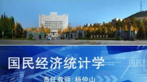 国民经济统计学视频教程 杨仲山 72讲 东北财经大学
