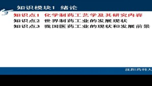 化学制药工艺学视频教程 赵临襄 80讲 沈阳药科大学