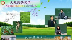 天然药物化学视频教程 宋少江 40讲 沈阳药科大学
